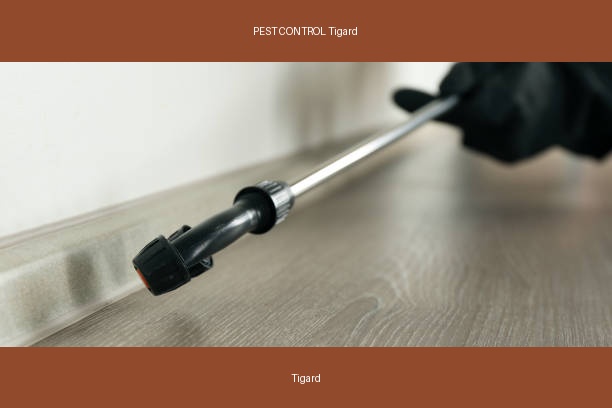 PEST CONTROL Tigard